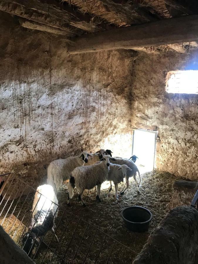 فندق Ecologie Oasis Tafilalt Chez L' Habitant الرشيدية المظهر الخارجي الصورة