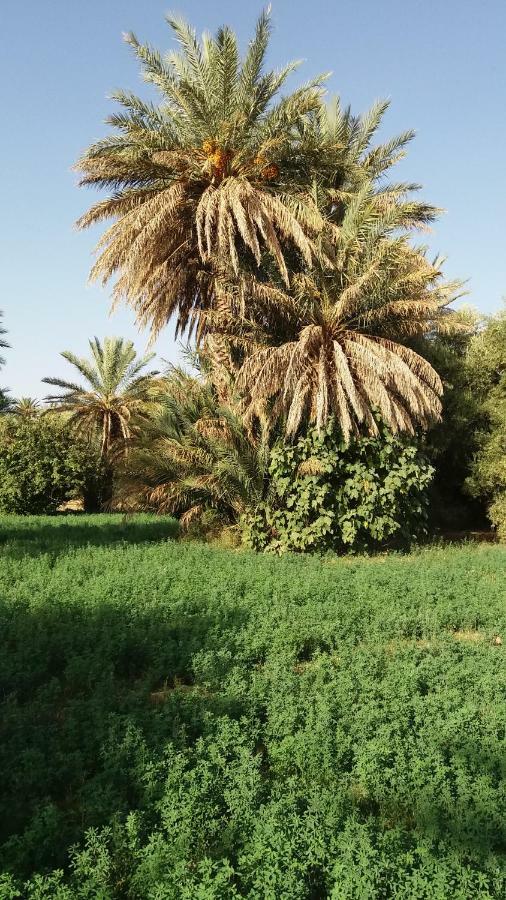 فندق Ecologie Oasis Tafilalt Chez L' Habitant الرشيدية المظهر الخارجي الصورة